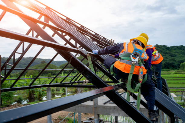 Best Storm Damage Roof Repair  in Petersburg, IN