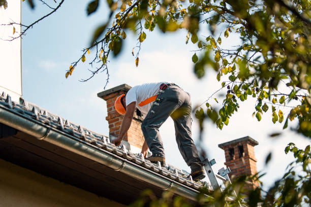 Professional Roofing Contractor in Petersburg, IN