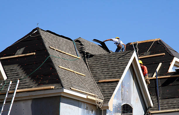 Best Metal Roofing Contractor  in Petersburg, IN
