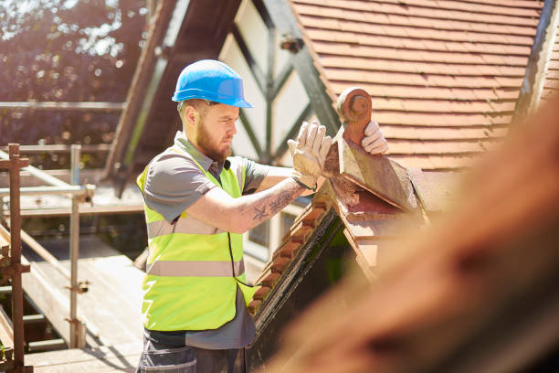 Best Roof Gutter Cleaning  in Petersburg, IN