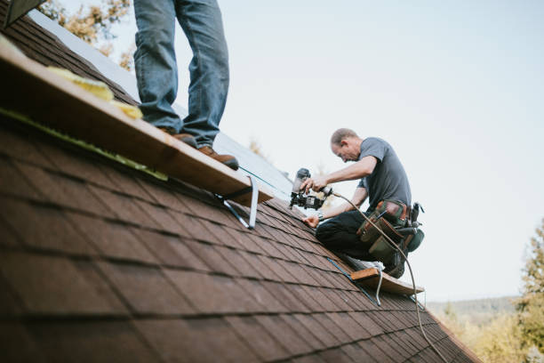 Best Residential Roofing Contractor  in Petersburg, IN